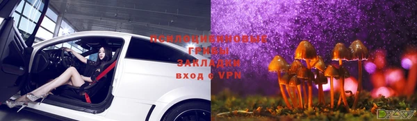 прущая мука Заводоуковск