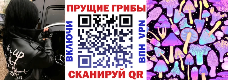 Купить закладки  Ряжск  Галлюциногенные грибы MAGIC MUSHROOMS 